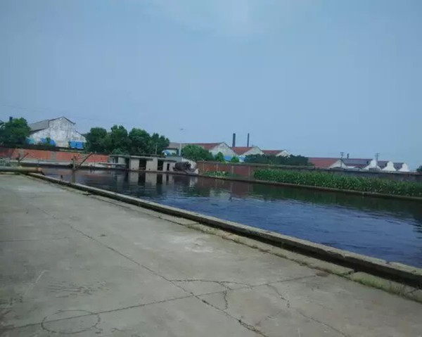 數顯電動機保護器在污水處理回流泵上的應用